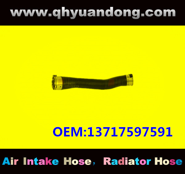 RADIATOR HOSE GG OEM:13717597591