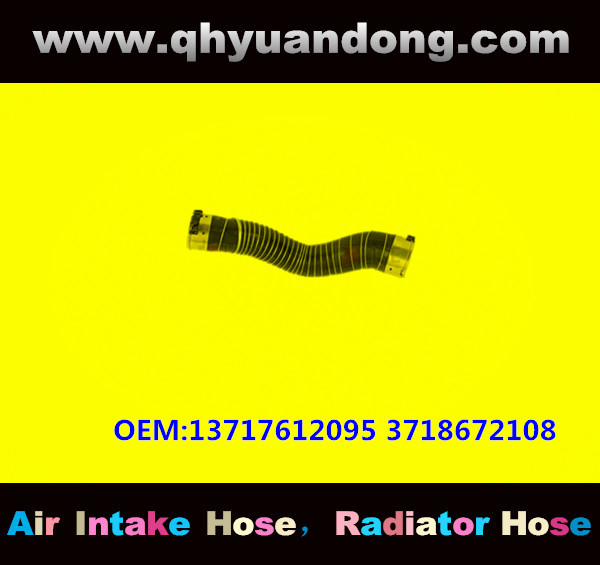 RADIATOR HOSE GG OEM:13717612095 3718672108