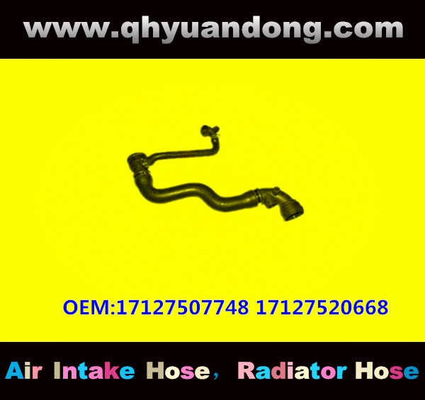 RADIATOR HOSE GG OEM:17127507748 17127520668