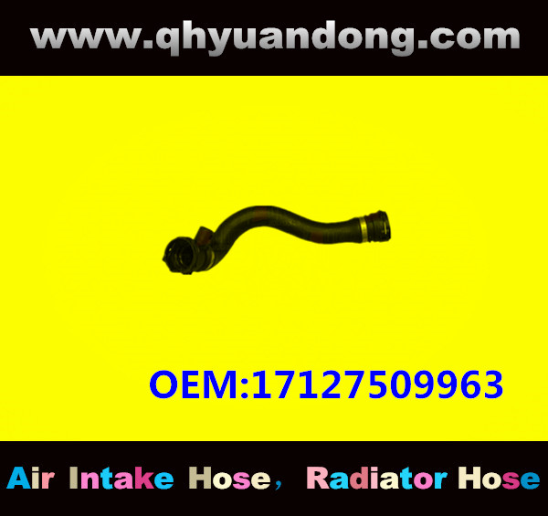 RADIATOR HOSE GG OEM:17127509963