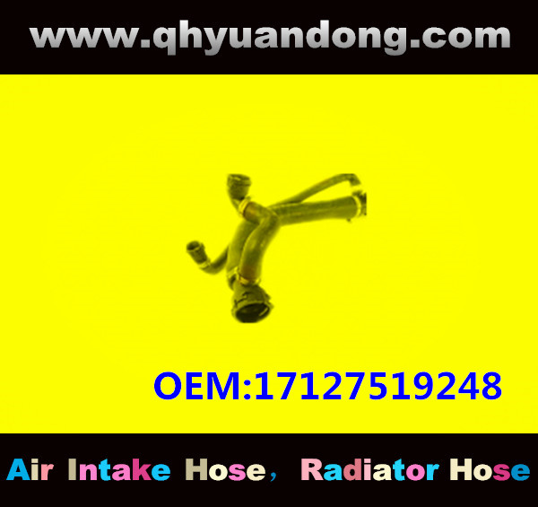 RADIATOR HOSE GG OEM:17127519248