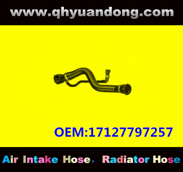 RADIATOR HOSE GG OEM:17127797257