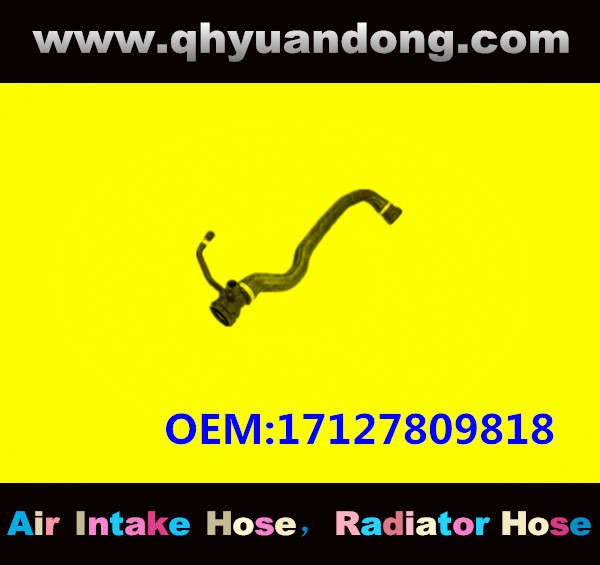 RADIATOR HOSE GG OEM:17127809818