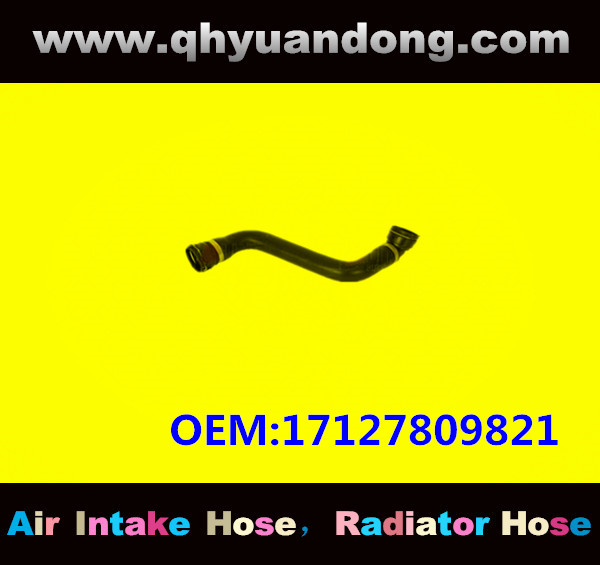 RADIATOR HOSE GG OEM:17127809821