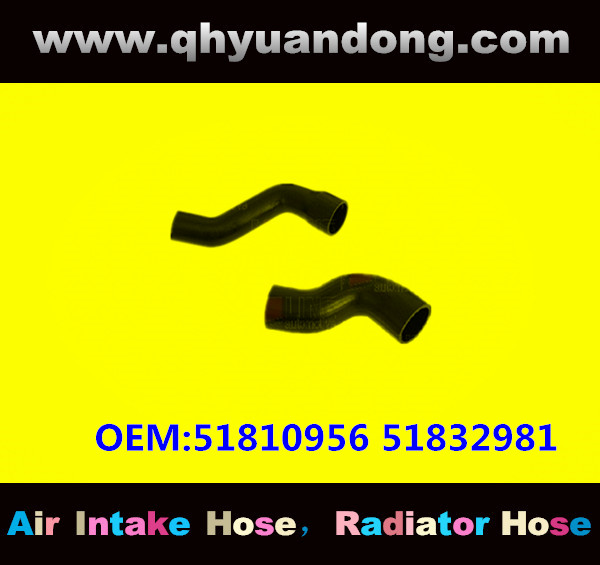 RADIATOR HOSE GG OEM:51810956 51832981