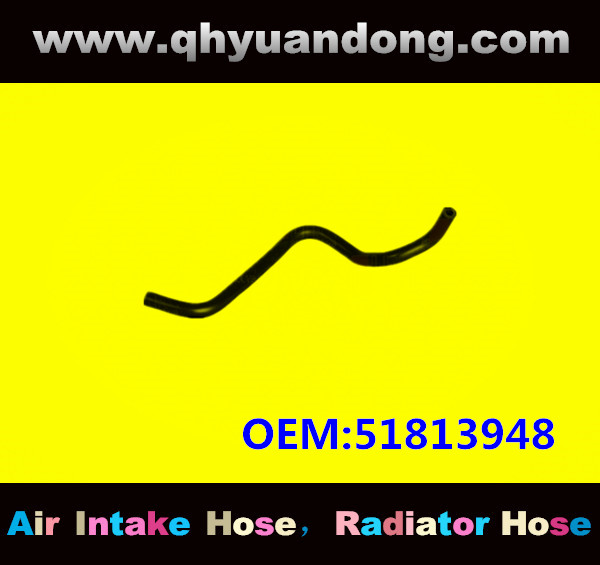 RADIATOR HOSE GG OEM:51813948