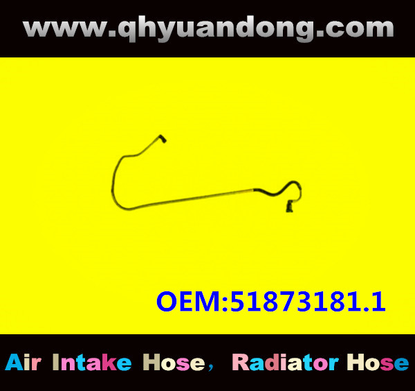 RADIATOR HOSE GG OEM:51873181.1