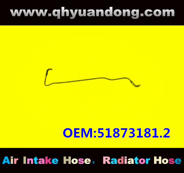 RADIATOR HOSE GG OEM:51873181.2