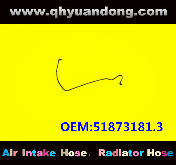 RADIATOR HOSE GG OEM:51873181.3