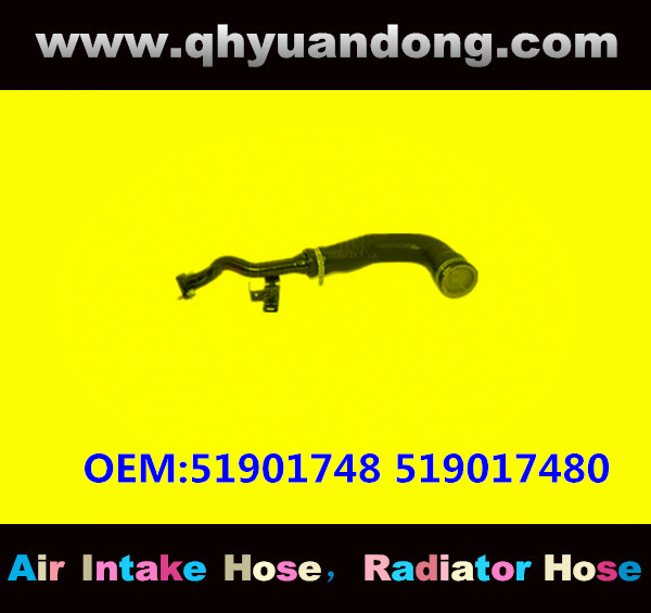 RADIATOR HOSE GG OEM:51901748 519017480