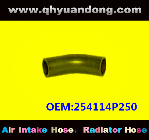 RADIATOR HOSE GG OEM:254114P250