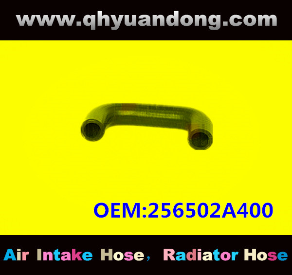 RADIATOR HOSE GG OEM:256502A400