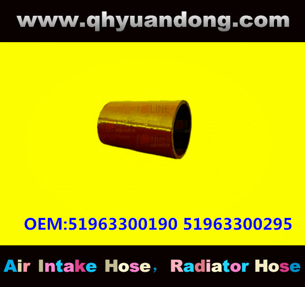 TRUCK SILICONE HOSE GG OEM:51963300190 51963300295