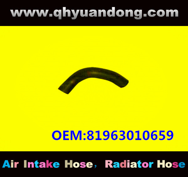 RADIATOR HOSE GG OEM:81963010659