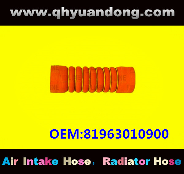 TRUCK SILICONE HOSE GG OEM:81963010900