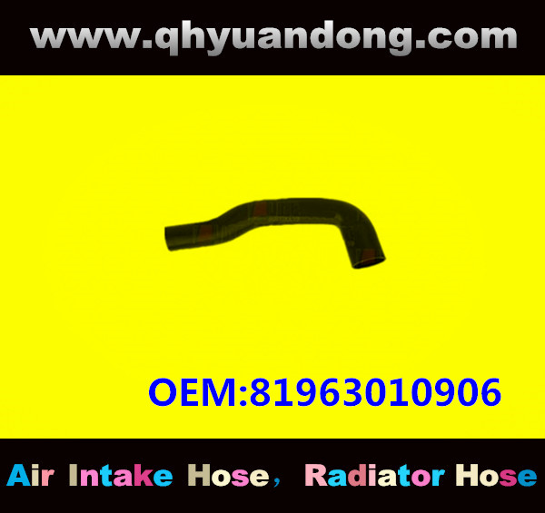 RADIATOR HOSE GG OEM:81963010906