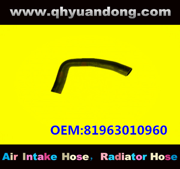 RADIATOR HOSE GG OEM:81963010960