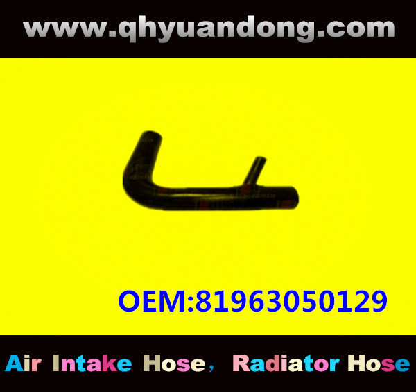 RADIATOR HOSE GG OEM:81963050129