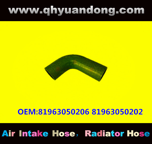 TRUCK SILICONE HOSE GG OEM:81963050206 81963050202