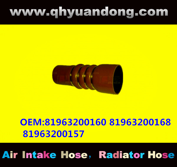 TRUCK SILICONE HOSE GG OEM:81963200160 81963200168 81963200157