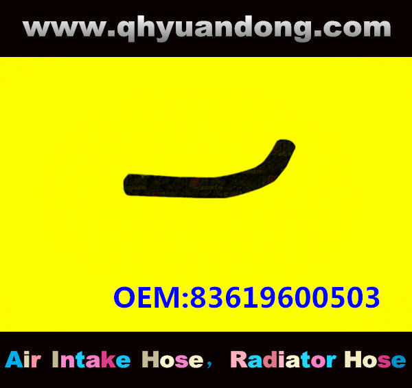 RADIATOR HOSE GG OEM:83619600503