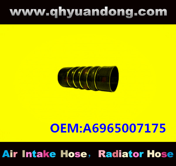 TRUCK SILICONE HOSE GG OEM:A6965007175