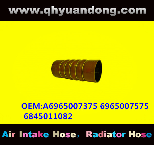 TRUCK SILICONE HOSE GG OEM:A6965007375 6965007575 6845011082
