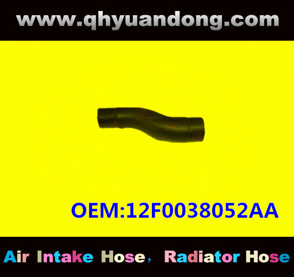 RADIATOR HOSE GG OEM:12F0038052AA