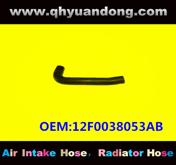 RADIATOR HOSE GG OEM:12F0038053AB