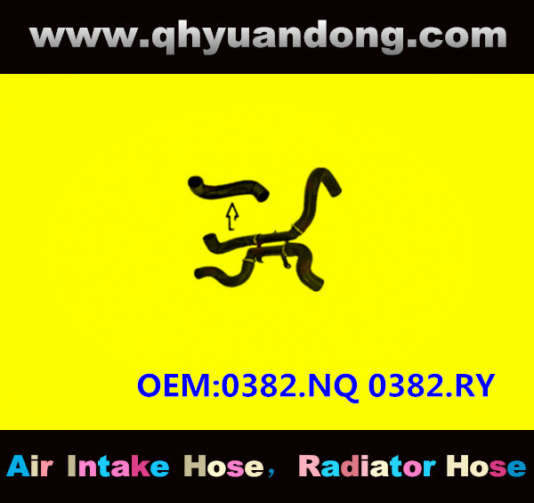 RADIATOR HOSE GG OEM:0382.NQ 0382.RY