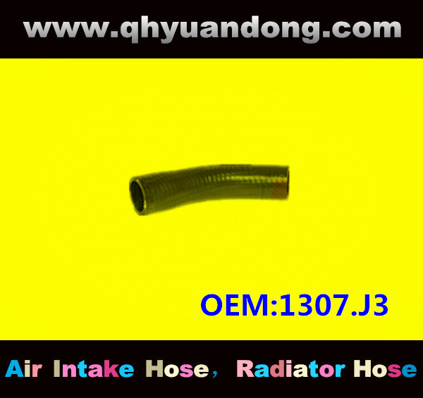 RADIATOR HOSE GG OEM: 1307.J3