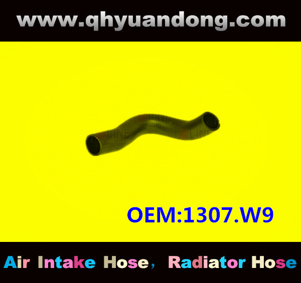 RADIATOR HOSE GG OEM:1307.W9