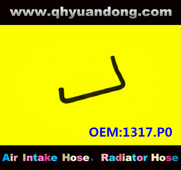 RADIATOR HOSE GG OEM:1317.P0