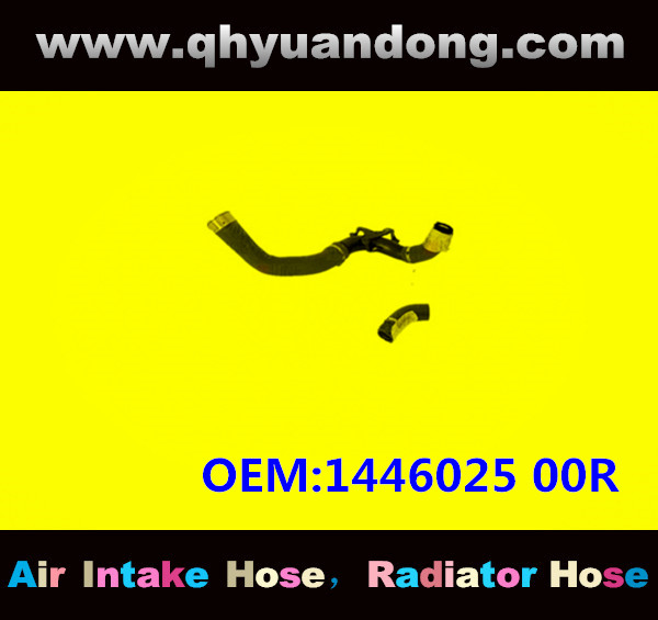 RADIATOR HOSE GG OEM:1446025 00R