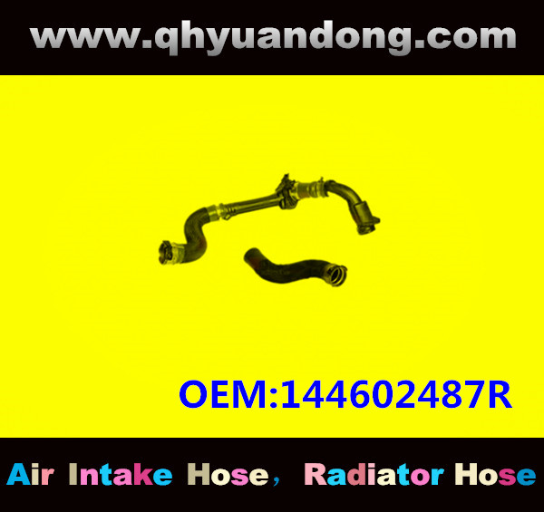 RADIATOR HOSE GG OEM:144602487R