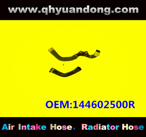 RADIATOR HOSE GG OEM: 144602500R