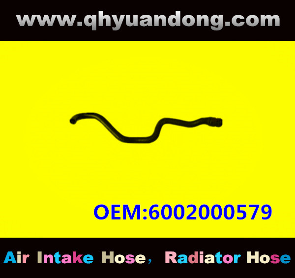 RADIATOR HOSE GG OEM: 6002000579