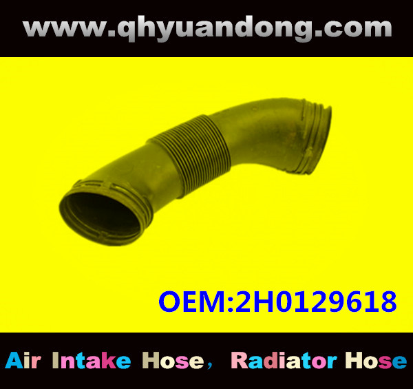 AIR INTAKE HOSE GG OEM:2H0129618