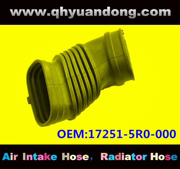 AIR INTAKE HOSE GG OEM:17251-5R0-000