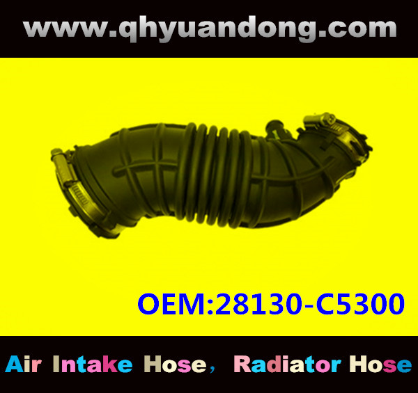 AIR INTAKE HOSE GG OEM:28130-C5300