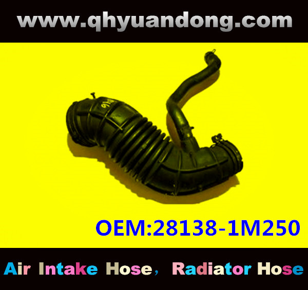 AIR INTAKE HOSE GG OEM:28138-1M250