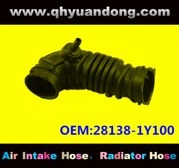 AIR INTAKE HOSE GG OEM:28138-1Y100