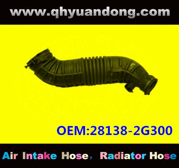 AIR INTAKE HOSE GG OEM:28138-2G300