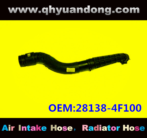 AIR INTAKE HOSE GG OEM:28138-4F100