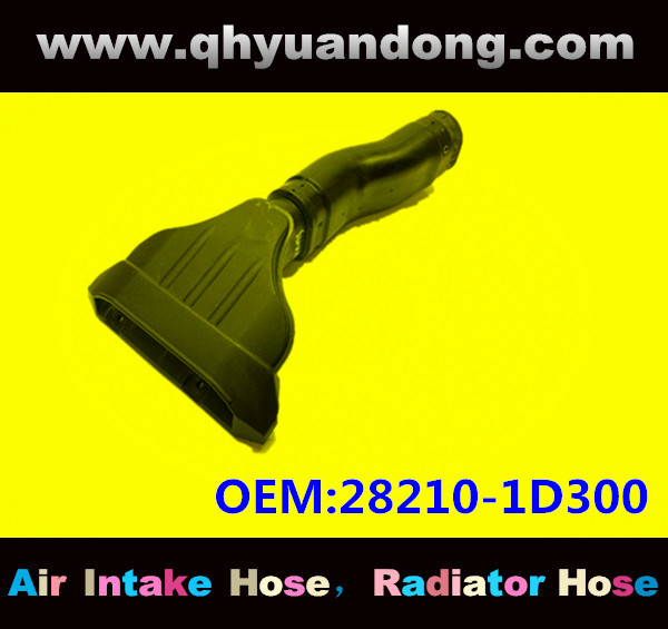 AIR INTAKE HOSE GG OEM:28210-1D300