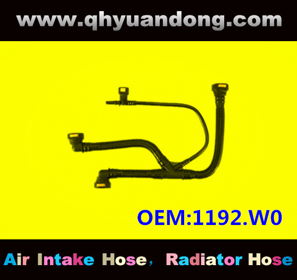 AIR INTAKE HOSE GG OEM:1192.W0