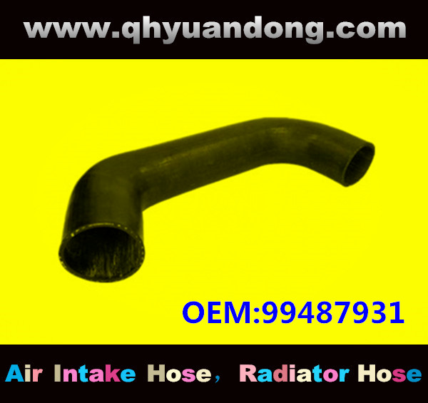 RADIATOR HOSE GG OEM:99487931