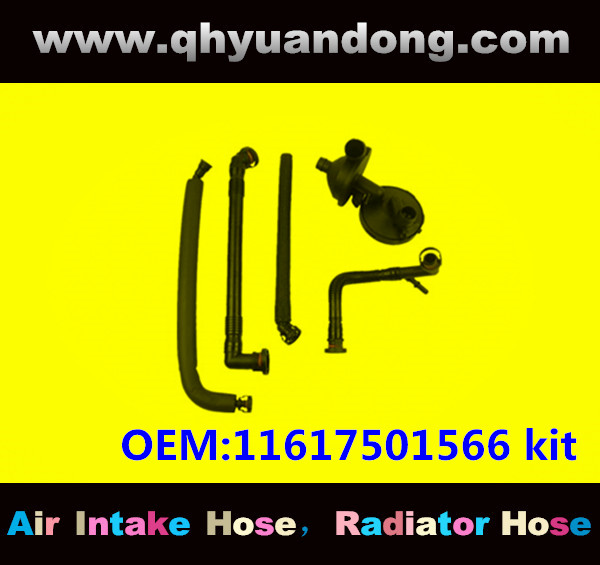 RADIATOR HOSE GG OEM:11617501566 kit