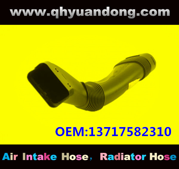 AIR INTAKE HOSE GG OEM:13717582310