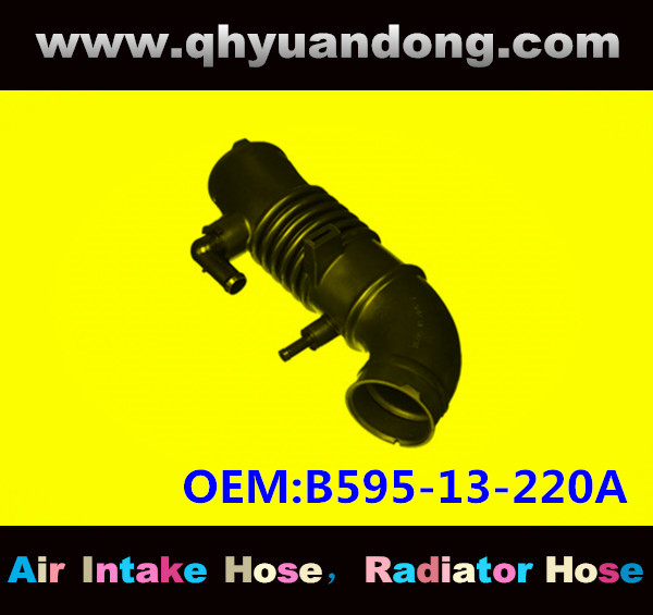AIR INTAKE HOSE GG OEM:B595-13-220A